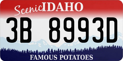 ID license plate 3B8993D