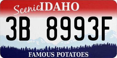 ID license plate 3B8993F