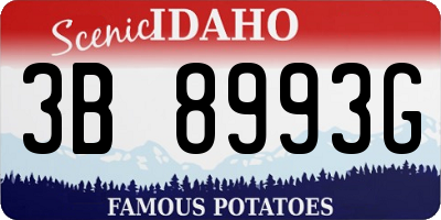 ID license plate 3B8993G