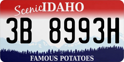 ID license plate 3B8993H