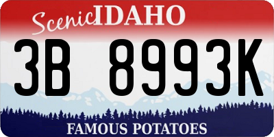 ID license plate 3B8993K
