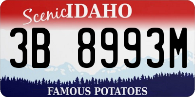 ID license plate 3B8993M