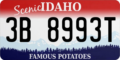 ID license plate 3B8993T