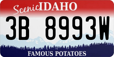 ID license plate 3B8993W