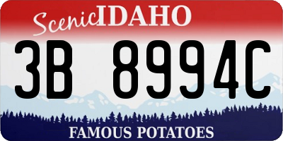 ID license plate 3B8994C