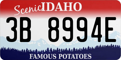 ID license plate 3B8994E