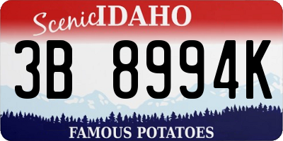 ID license plate 3B8994K