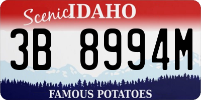 ID license plate 3B8994M