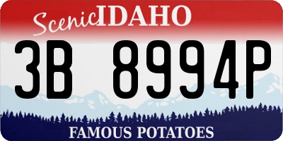 ID license plate 3B8994P