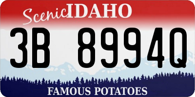 ID license plate 3B8994Q