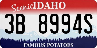 ID license plate 3B8994S