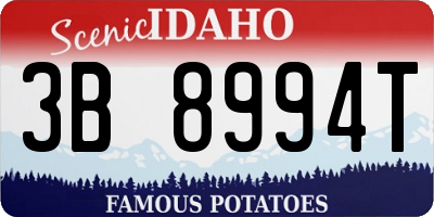 ID license plate 3B8994T
