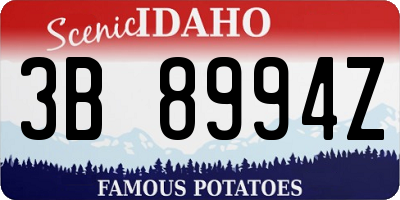 ID license plate 3B8994Z