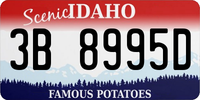 ID license plate 3B8995D