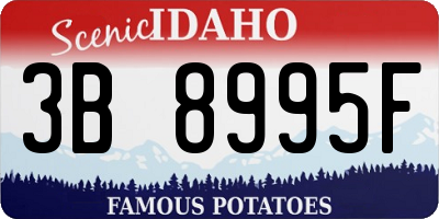 ID license plate 3B8995F
