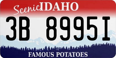 ID license plate 3B8995I