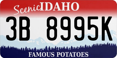 ID license plate 3B8995K
