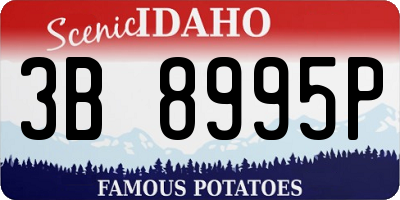 ID license plate 3B8995P