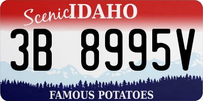 ID license plate 3B8995V