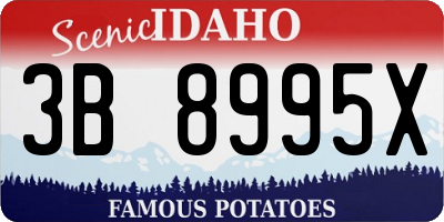 ID license plate 3B8995X
