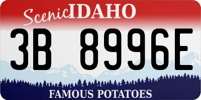 ID license plate 3B8996E
