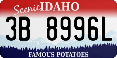 ID license plate 3B8996L
