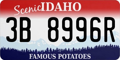 ID license plate 3B8996R
