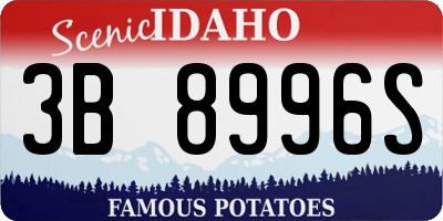 ID license plate 3B8996S