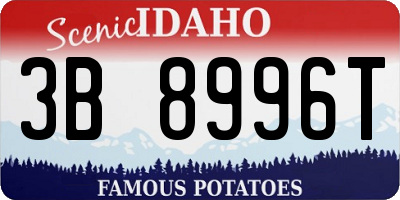 ID license plate 3B8996T