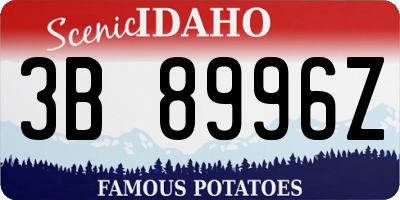 ID license plate 3B8996Z