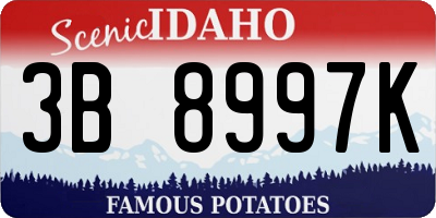 ID license plate 3B8997K