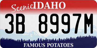 ID license plate 3B8997M