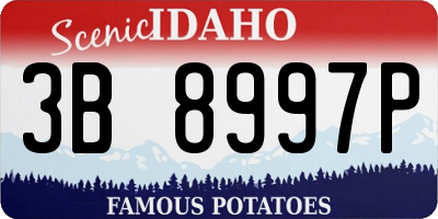 ID license plate 3B8997P