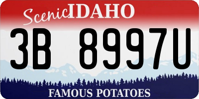 ID license plate 3B8997U