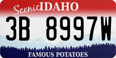 ID license plate 3B8997W