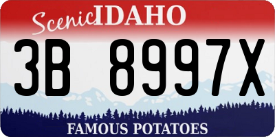 ID license plate 3B8997X