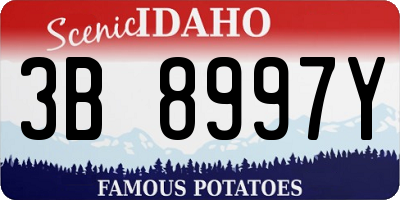 ID license plate 3B8997Y