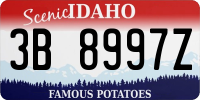 ID license plate 3B8997Z