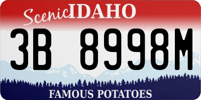 ID license plate 3B8998M