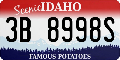 ID license plate 3B8998S
