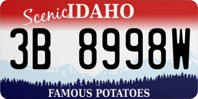 ID license plate 3B8998W