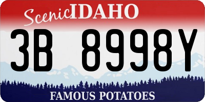 ID license plate 3B8998Y