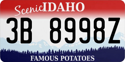 ID license plate 3B8998Z