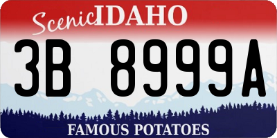 ID license plate 3B8999A