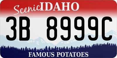 ID license plate 3B8999C
