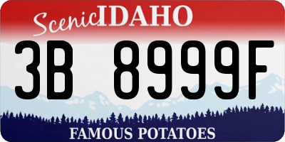 ID license plate 3B8999F