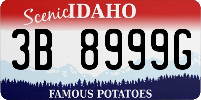 ID license plate 3B8999G