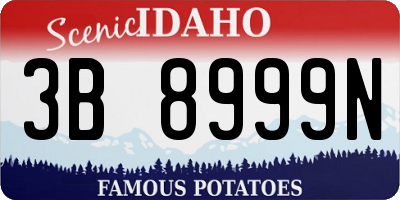 ID license plate 3B8999N