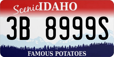 ID license plate 3B8999S