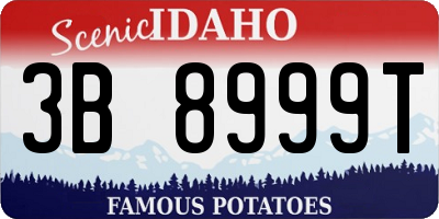 ID license plate 3B8999T